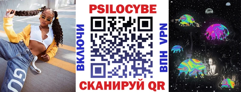 Купить закладки  Петухово  Псилоцибиновые грибы Cubensis 